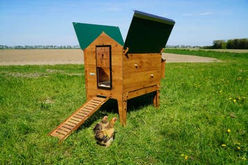 Trespa Kippenhok / Cucciolotta Classic XL Op Pootjes, Ophalen of Verzenden, Nieuw