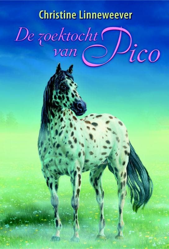De zoektocht van Pico / Gouden paarden 9789020622225, Boeken, Kinderboeken | Jeugd | 10 tot 12 jaar, Gelezen, Verzenden