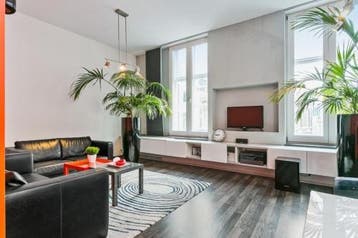 Te Huur 2 Kamer Appartement Palaceplein In Den Haag, Huizen en Kamers, Huizen te huur, Den Haag, Den Haag, Direct bij eigenaar