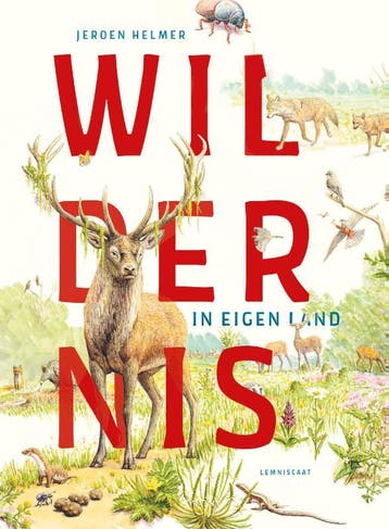 Wildernis In Eigen Land | Jeroen Helmer | Nieuw, Ophalen of Verzenden, Nieuw, Jeroen Helmer