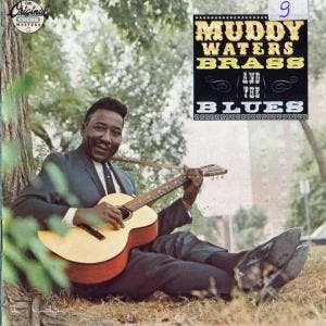 cd - Muddy Waters - Muddy, Brass &amp; The Blues, Verzenden, Zo goed als nieuw