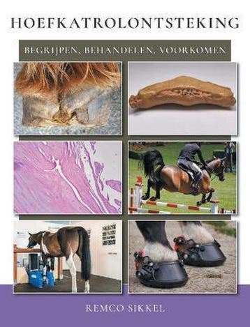 9789493034020 Hoefkatrolontsteking Remco Sikkel, Verzenden, Nieuw, Remco Sikkel
