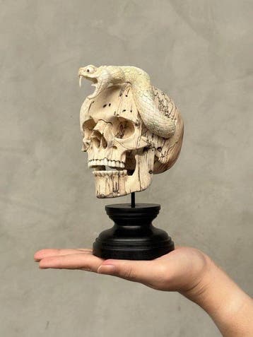 NO RESERVE PRICE - Tamarind Wooden Skull with Carved Snake