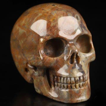 Wereldzeldzaamheid 82 g 5,00 x 3,70 cm AA Dinosaur Gembone