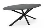 Tafel 200X100 cm, Huis en Inrichting, Tafels | Eettafels, 50 tot 100 cm, Zo goed als nieuw, Vijf personen of meer, 150 tot 200 cm