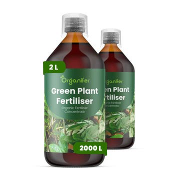Groene plant vloeibare meststof - Set 2x1 liter, Verzenden, Mest