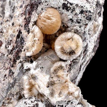 Interessante oude ferrieriet. uit Sardinië - ongewoon