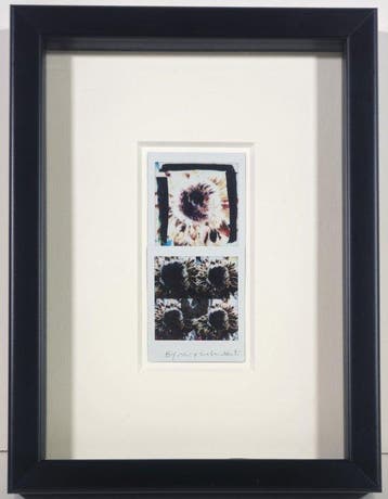 Maurizio Galimberti (1956–) - BiFlowers - 11460, Antiek en Kunst