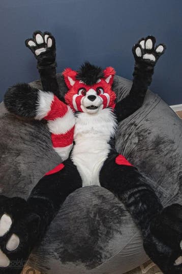 Luxe Husky Fursuit - Volwassen Mascot Kostuum voor Cosplay &, Verzenden, Nieuw