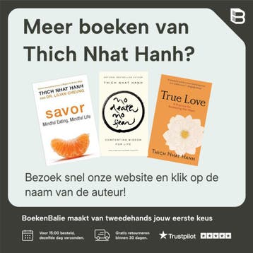 Mindfulness - Thich Nhat Hanh 9789045310497, Verzenden, Zo goed als nieuw, Thich Nhat Hanh