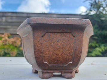 Bonsai schaal - 14x14x8cm - Hoogte (boom): 0 cm - Diepte, Antiek en Kunst