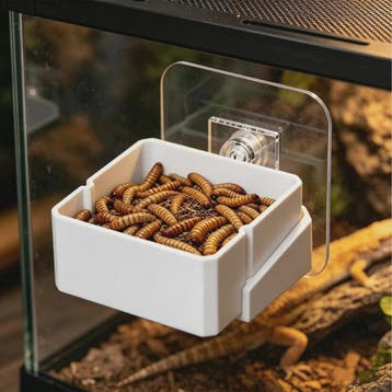 Wandmontage Voerbak voor Reptielen - Veilig en Praktisch, Dieren en Toebehoren