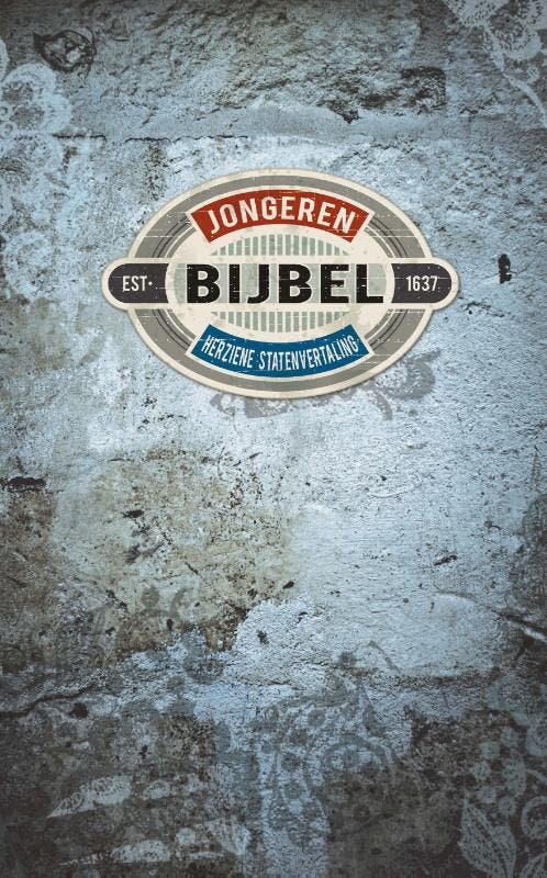 HSV-jongerenbijbel 9789065393739, Boeken, Godsdienst en Theologie, Gelezen, Verzenden