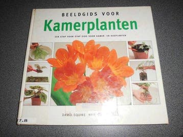 BEELDGIDS VOOR KAMERPLANTEN - Squire, Verzenden, Gelezen