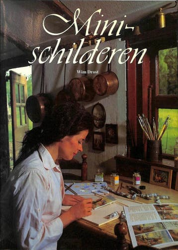 Mini-schilderen - Drost 9789067750332, Verzenden, Zo goed als nieuw, Drost