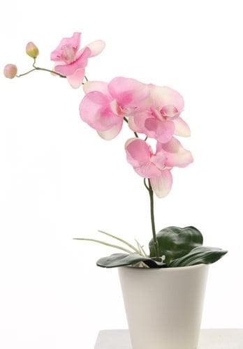 Orchidee phalaenopsis roze zijden plant blad en wortel 44 cm, Ophalen of Verzenden, Nieuw
