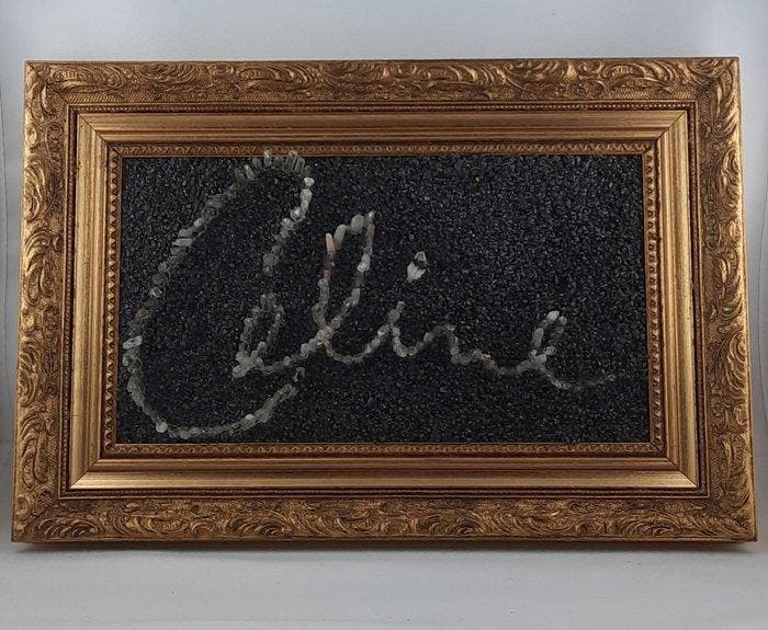 Guy-philippe Bruhammer - 3D CELINE DION, Antiek en Kunst, Kunst | Schilderijen | Modern