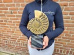 sculptuur, Bronze Ammonite Cast - 30 cm - Brons, Marmer