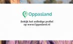 Linde zoekt een oppas in Heumen voor 2 kinderen., Nieuw