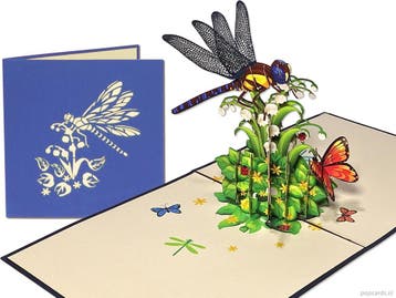 Prachtige Libelle en Vlinders op Lelietje-van-Dalen Meikl..., Verzenden, Nieuw