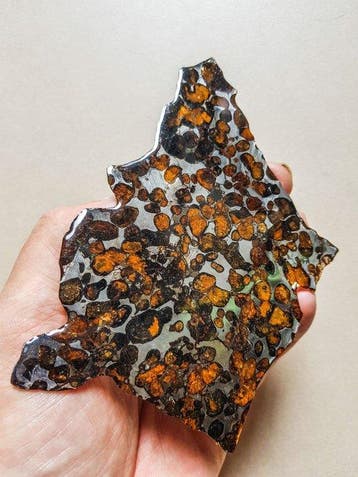 Pallasiet Sericho pallasite - Hoogte: 13.5 cm - Breedte: 9