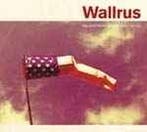 cd digi - Wallrus - The Wind Blows Witches From The Sky, Verzenden, Zo goed als nieuw