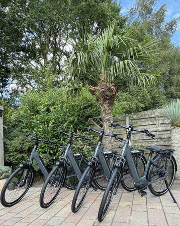 Gazelle Grenoble C5 in 46,49,53 en 57 cm. Belt Bosch hmb, Ophalen of Verzenden, Nieuw, 50 km per accu of meer, Gazelle