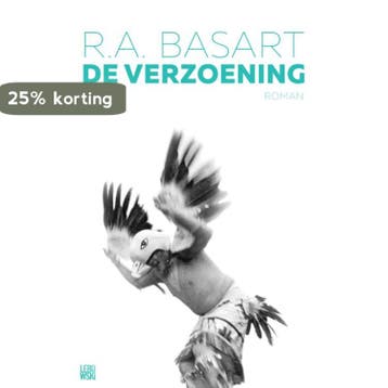 De verzoening - R.A. Basart 9789048831944, Verzenden, Gelezen, R.A. Basart