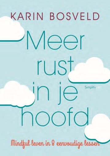 Meer rust in je hoofd 9789058776211 Karin Bosveld, Boeken, Verzenden, Zo goed als nieuw, Karin Bosveld