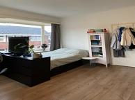 Studio J.A. Feithstraat in Groningen, Overige soorten, Groningen