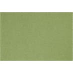 Frans karton, A4, vel 210x297 mm, 160 gr, apple Green, 1 vel, Nieuw