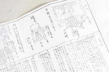 Harnas - Japan - E3-600 Pantserbezorgdienst<br>Hoe draag je, Antiek en Kunst