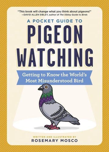 9781523511341 A Pocket Guide to Pigeon Watching, Verzenden, Nieuw, Rosemary Mosco