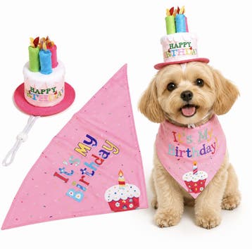 Honden Verjaardag Set – Verjaardagshoedje & Bandana – It, Ophalen of Verzenden, Nieuw