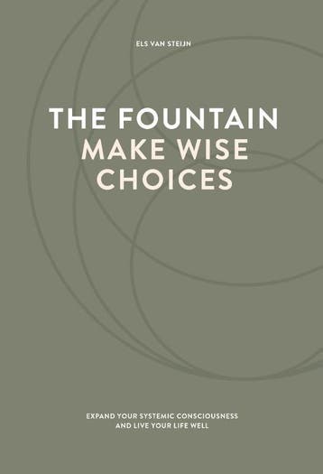 The Fountain, Make Wise Choices | Els Steijn | Nieuw, Boeken, Ophalen of Verzenden, Nieuw, Els Steijn