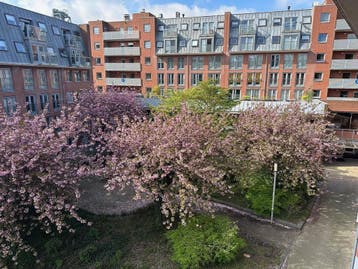 Te huur: Appartement Prins Frederikplein in Rotterdam, Appartement, Rotterdam, Zuid-Holland
