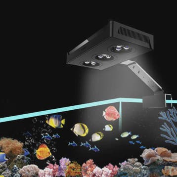 Spectra Nano 029 Aquariumverlichting 30W - Zoutwater, Koraal, Verzenden, Nieuw