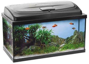 Osaka Classic aquarium 80cm recht (Osaka Classic 2.0), Ophalen of Verzenden, Nieuw, Leeg aquarium