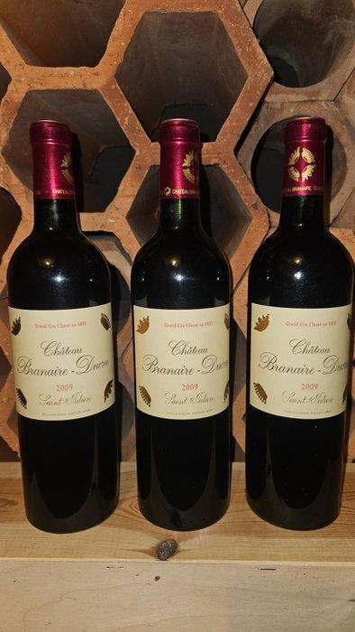 2009 Château Branaire-Ducru - Saint-Julien 4ème Grand Cru, Verzamelen, Wijnen