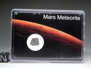 NWA 12564 - Mars-meteoriet Shergottiet-snijstuk - 0.36 g