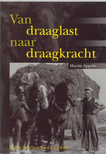 Van draaglast naar draagkracht - Martin Appelo 9789031329670, Boeken, Psychologie, Verzenden, Zo goed als nieuw, Martin Appelo