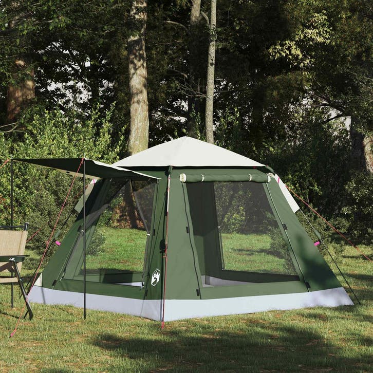 vidaXL Instant Tent met Regenfly voor 3 Personen met Snelle, Caravans en Kamperen, Tenten, Nieuw, Verzenden