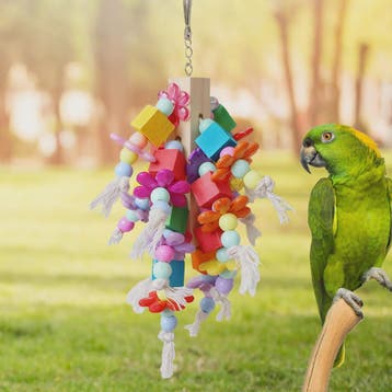 Grote Papegaai Kauwspeeltje met Sterfruit - Stressverlichtin, Dieren en Toebehoren