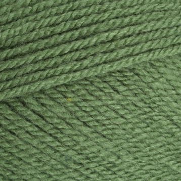 Stylecraft special DK 1824 cypress - Haakgaren / Breigaren, Ophalen of Verzenden, Nieuw, Breien of Haken, Wol of Garen