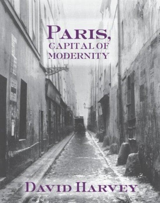 Paris, Capital Of Modernity - David Harvey 9780415952200, Boeken, Taal | Engels, Gelezen, Verzenden