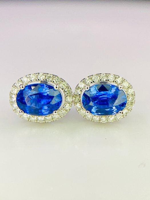 Oorbellen - 14 karaat Witgoud - 2.16ct. tw. Saffier -, Sieraden, Tassen en Uiterlijk, Oorbellen