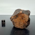 Diogenita NWA 14056 meteoriet van VESTA, asteroïde, - 101 g