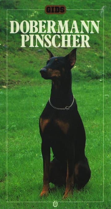 Dobermann Pinscher / Gids - J. Richardson 9789051120905, Verzenden, Gelezen, J. Richardson