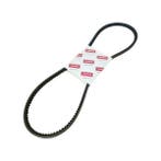 V-snaar, A43 - Yanmar, Ophalen of Verzenden, Nieuw, Motor en Techniek, Zeilboot of Motorboot