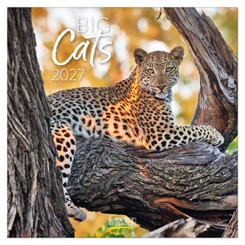 Big Cats kalender 2027, Ophalen of Verzenden, Nieuw in verpakking